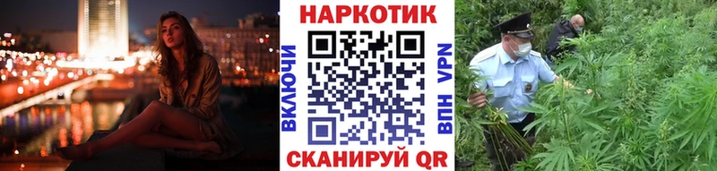 Виды наркотиков купить Новый Уренгой СОЛЬ  Экстази  Канабис  Cocaine  Гашиш 