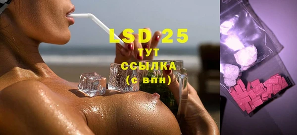 стаф Ладушкин