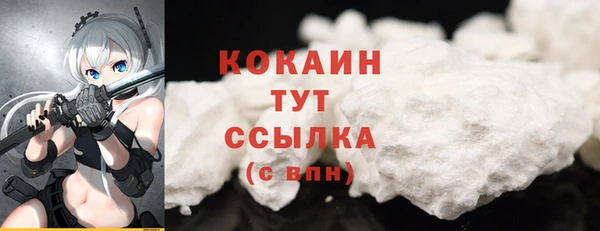 стаф Ладушкин