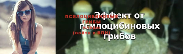 мдпв Лабытнанги