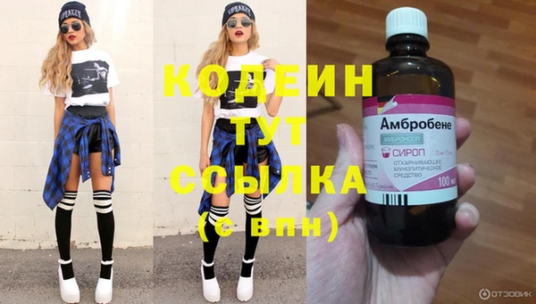 мдпв Лабытнанги
