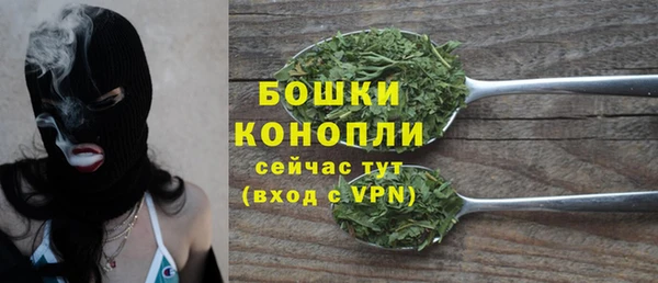 стаф Ладушкин