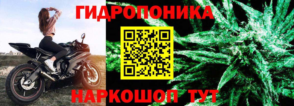 Шишки марихуана AK-47 Новый Уренгой